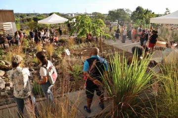 Jardin partagés à La Possession