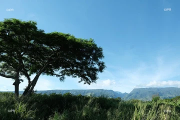 paysages 