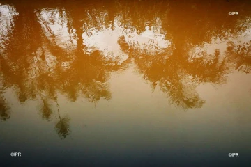 pluie 