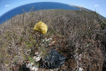 Déchets plastique