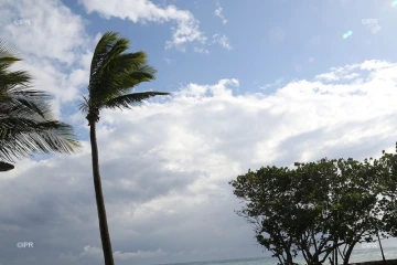 météo réunion 