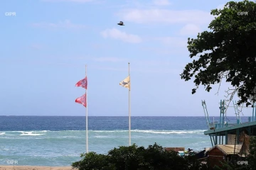 drapeaux baignade et surf plage des roches noires  
