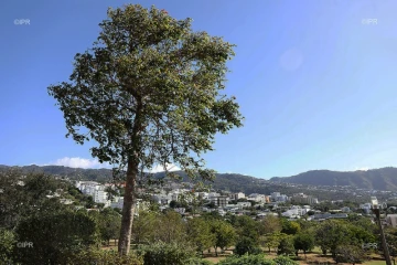 parc de la trinité