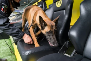 Inspection des bancs de touche du stade du Borussia à l'aide d'un chien, le 12 avril 2017 à Dortmund