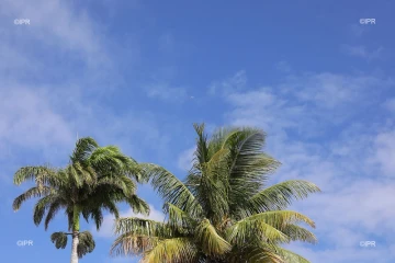 météo réunion 