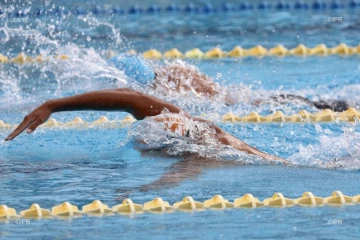 Natation