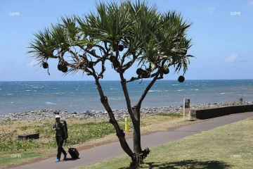 illustrations photos 
