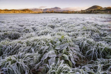 Givre