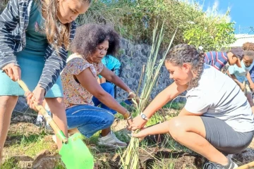 500 végétaux replantés au Guillaume par des écoliers