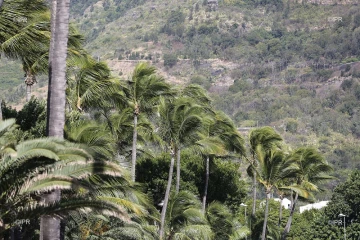 Météo réunion 