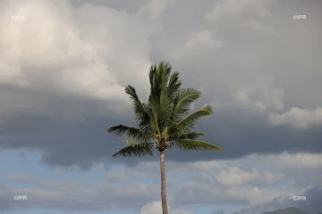 météo réunion 
