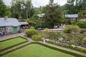 Mascarin-Jardin Botanique de La Réunion ( Crédits : Bruno Bamba - Département de La Réunion)