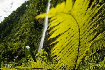 paysages 