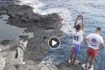 Saut