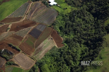 agriculture Illustration 