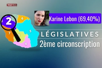 karine lebon 2e circonscription