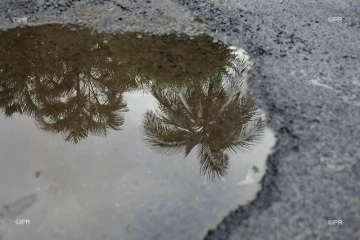 pluie