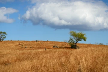 Saint-Paul : devenez un aventurier de la Savane
