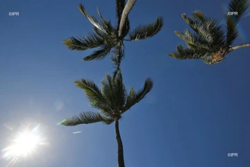 météo réunion 