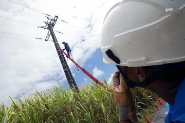 EDF