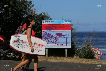 panneaux prévention requins 