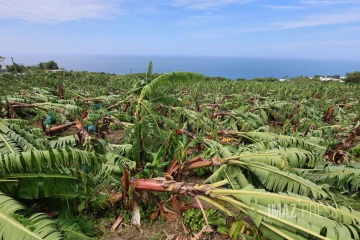 Garance : La Réunion, l'île en phase de sauvegarde