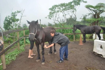Makes