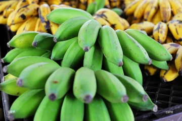 reportage légumes et fruits 