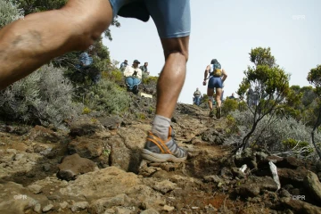 Trail