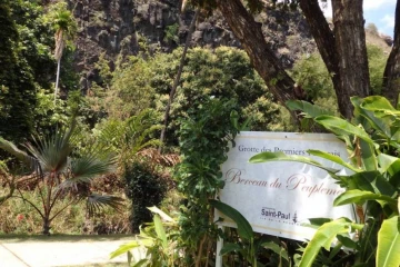 Des vols d\'arbres sont observés sur le site de la Grotte des Premiers Français.