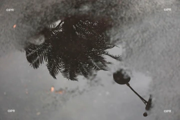 météo réunion 