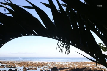 Lagon 