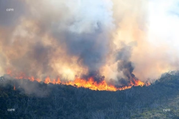 Feu du Maïdo