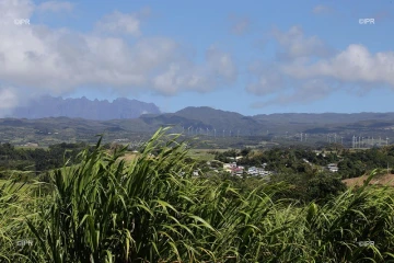 Météo Réunion 