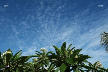 météo réunion 