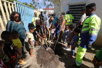 Saint-Pierre : fleurissement et plantation d´arbres endémiques à l'école Flora Tristan