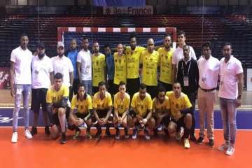 Championnat de France de handball