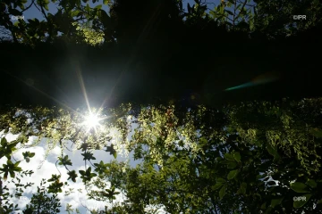 paysages 