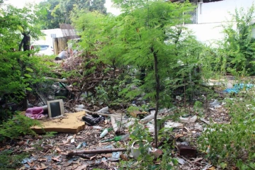 Case créole déchets dengue