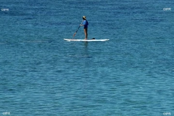 paddle