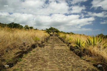 Météo Réunion 