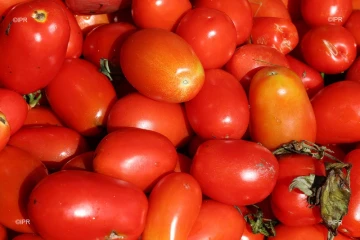 légumes et fruits 