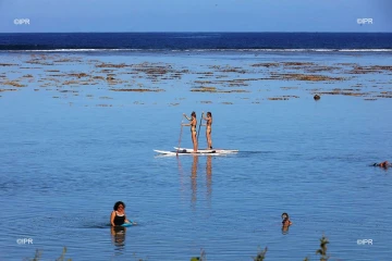lagon 