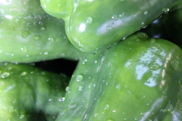 Légumes 
