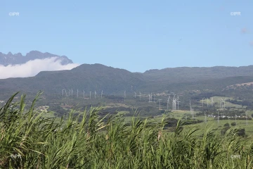 sonde à canne 