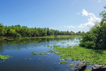 La Réserve de l'étang