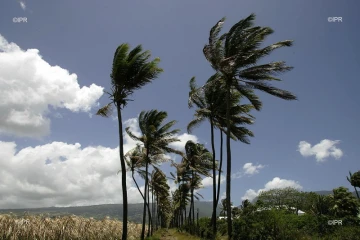 météo réunion 
