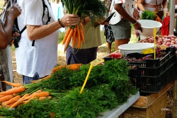 Marchés producteurs 