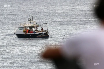 Attaque requin l\'Etang-Salé