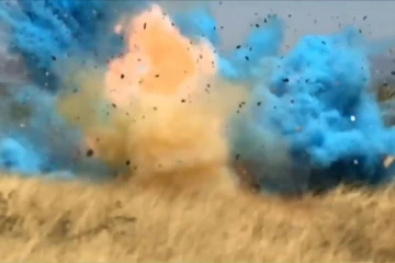 Un garde-frontière avait causé un incendie géant dans l'Arizona en 2017, à l'occasion d'une "gender reveal party", en tirant sur une cible artisanale contenant un produit hautement explosif